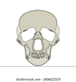 Flat colorful continuous drawing line art human skull icon vector illustration concept
