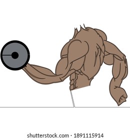 Flat colorful continuous drawing line art bodybuilder lifts a dumbbell vector illustration concept