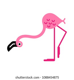 Flat colorful illustration of a pink flamingo character, looking down, isolated.