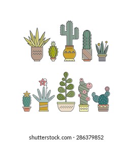 Flat colorful illustration of succulent plants and cactuses in pots. Company corporate logo element design. Vector botanical graphic set with cute florals.