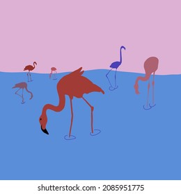 flat colorful vector illustration of different sized flamingos in pink and red colors stands on pink and blue background. Tropical concept, wildlife