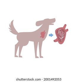 Flat composition with helminths in dogs organ vector illustration