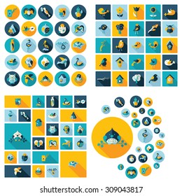 Flat concept design with shadow collection birds