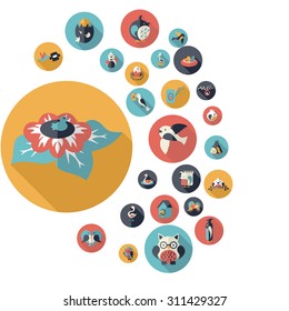 Flat concept design with shadow collection birds