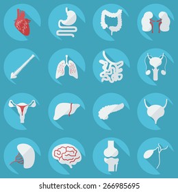 Flat concept, set modern design with shadow human organs 