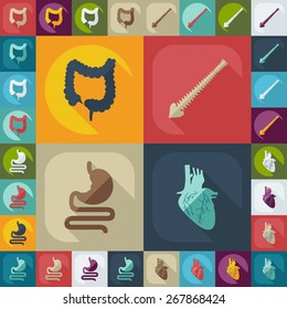 Flat concept, set modern design with shadow human organs 