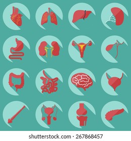 Flat concept, set modern design with shadow human organs 