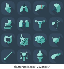 Flat concept, set modern design with shadow human organs 