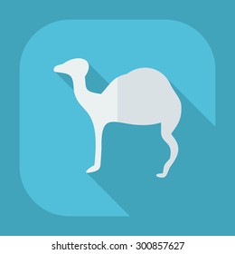 Flat concept, set modern design with shadow camel