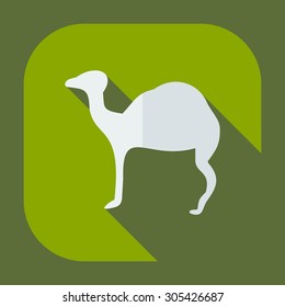 Flat concept, set modern design with shadow camel