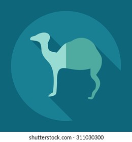 Flat concept, set modern design with shadow camel