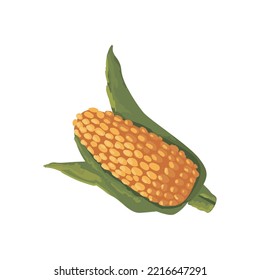 flat corn cob over white background