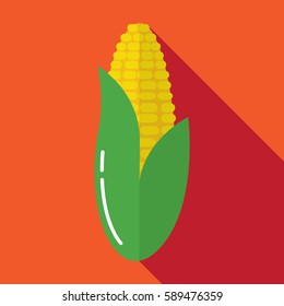 Flat corn icon. Corn vector