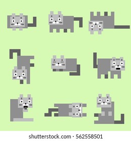 flat corner grey cats on a green background vector illustration