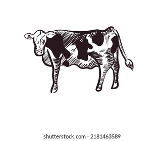flat cow design over white