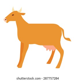 Flat cow illustration