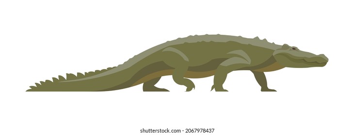 Flat crocodile. Vector illustration. Collection