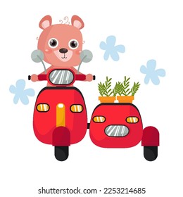 Flat Cute Bear illustration suitable for kid design