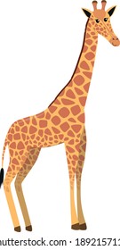 flat cute cartoon standing giraffe from side, vector isolated on white background, illustration for children