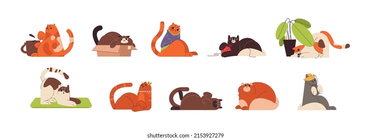 Flat cute ginger friendly cats in different funny poses. Playful red domestic feline animals playing with ball, hiding in box, doing yoga and liying on pillow. Fat lazy pets sitting in sweater and hat