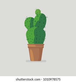 Flat cute green cactus vector design.Cactus in pot.Home plant.