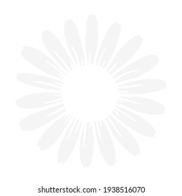 Flat daisy vector Beautiful white flowers leave space to add text. Isolated on white background.