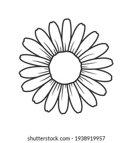 Flat daisy vector Beautiful white flowers leave space to add text. Isolated on white background.