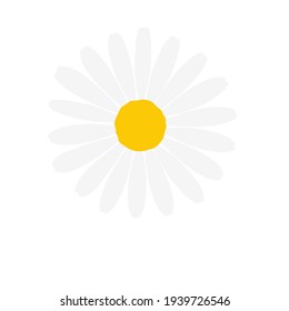 Flat daisy vector Beautiful white flowers leave space to add text. Isolated on white background.