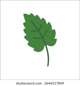 Flat dark green leaf illustration with visible midrib, ideal for environmental designs, herbal branding, forest visuals, eco themes, and botanical or gardening-related content.

