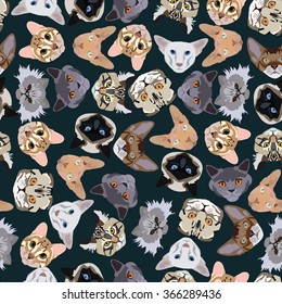 flat dark seamless pattern pedigree cats in vector format eps10