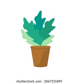 Flat design about pots and plants