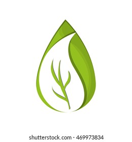 flat design abstract leaves nature icon vector illustration