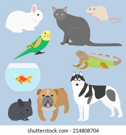 Flat design all kind of pets