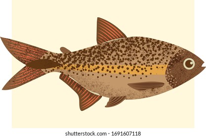 Flat Design Amazon River Fish Vector