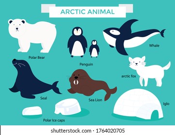 Flat Design Arctic Animal Set Bundles Stock Vector (Royalty Free ...