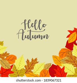 Flat design autumn leaves background. - Vector.