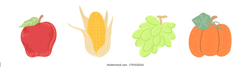 flat design beautiful autumn seasonal corps of harvesting season. Apple, corn, grape, pumpkin isolated on white background