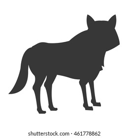 flat design big wolf icon vector illustration