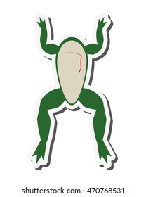 flat design biology class frog surgery icon vector illustration