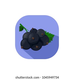 Flat design black currant