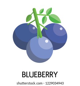 Flat design blueberry icon illustration in vector on white background.