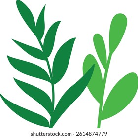 Flat design botanical illustration featuring green tropical leaves. Suitable for eco-friendly themes, nature decorations.