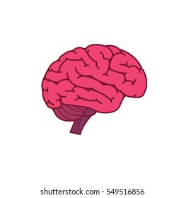 Flat Design Of Brain On Side View