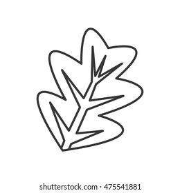 flat design branch with leaves icon vector illustration