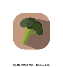 Flat design broccoli