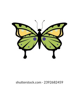 Flat design butterfly vector illustration cartoon