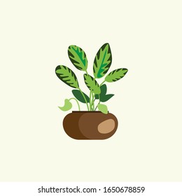 a flat design of a cactus plant object