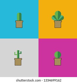 flat design cactus plants in pot