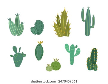 Flat design cactuses, cactus, mexican native flora. Isolated on white background. Beautiful set of vector green catus groups. 
