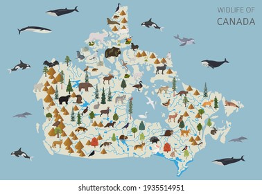 Flat design of Canada wildlife. Animals, birds and plants constructor elements isolated on white set. Build your own geography infographics collection. Vector illustration